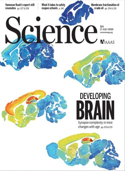 Science – 17 July 2020 Cover