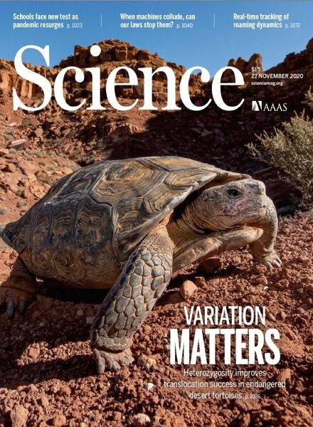 Science – 27 November 2020 Cover