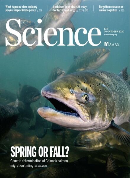 Science – 30 October 2020 Cover