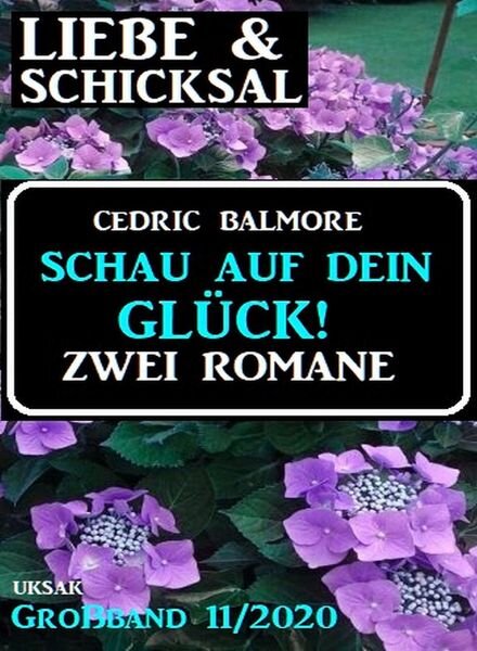 Uksak Liebe & Schicksal Grossband – Nr.11 2020 Cover