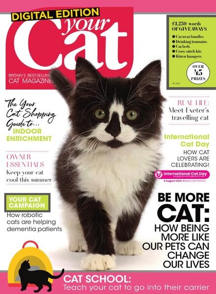 Your Cat – August 2020 Cover