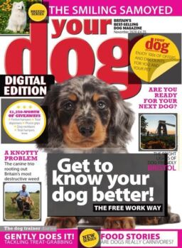Your Dog – November 2020
