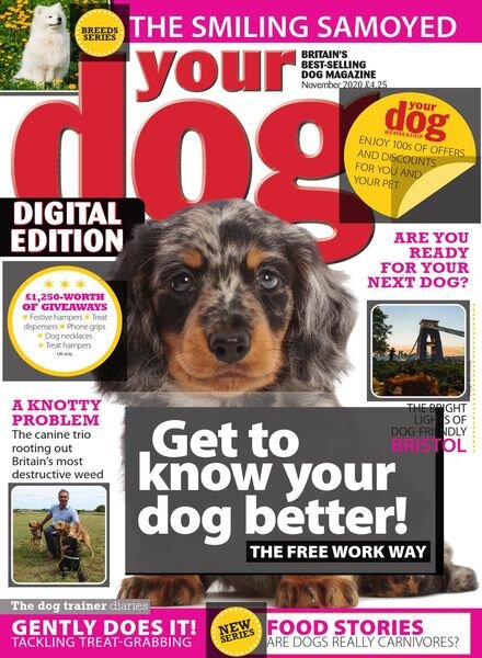 Your Dog – November 2020 Cover
