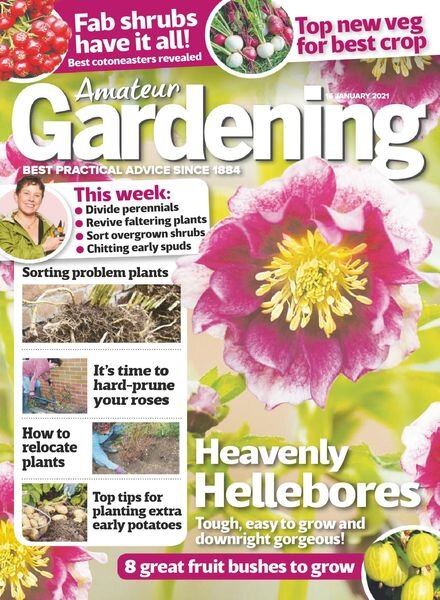 Amateur Gardening – 16 January 2021 Cover