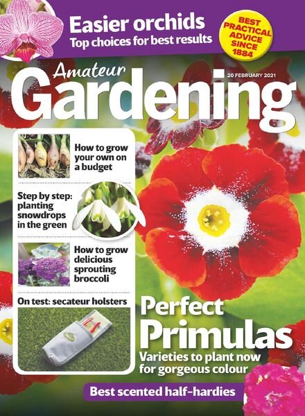 Amateur Gardening – 20 February 2021 Cover