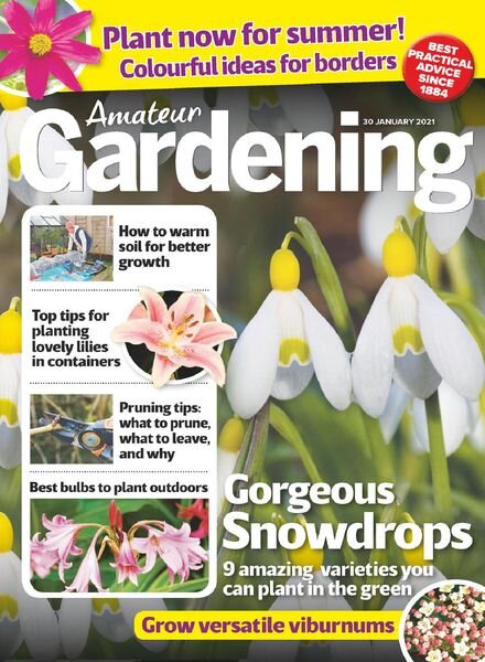 Amateur Gardening – 30 January 2021 Cover