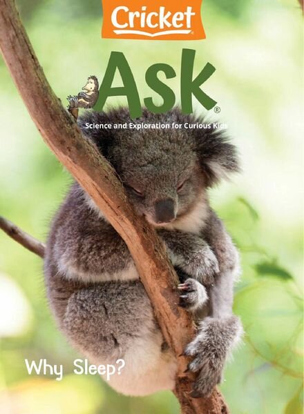 Ask – January 2021 Cover
