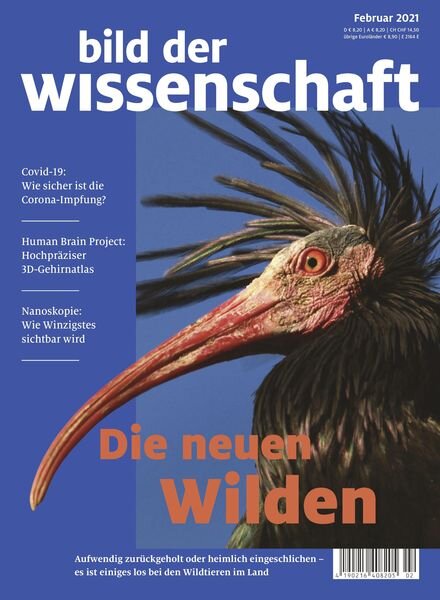 Bild der Wissenschaft – Februar 2021 Cover