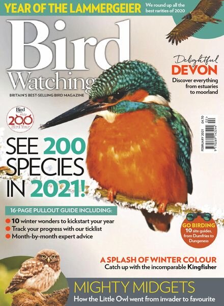 Bird Watching UK – February 2021 Cover