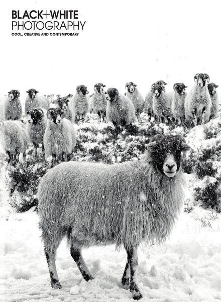 Black + White Photography – Issue 248 – January 2021 Cover
