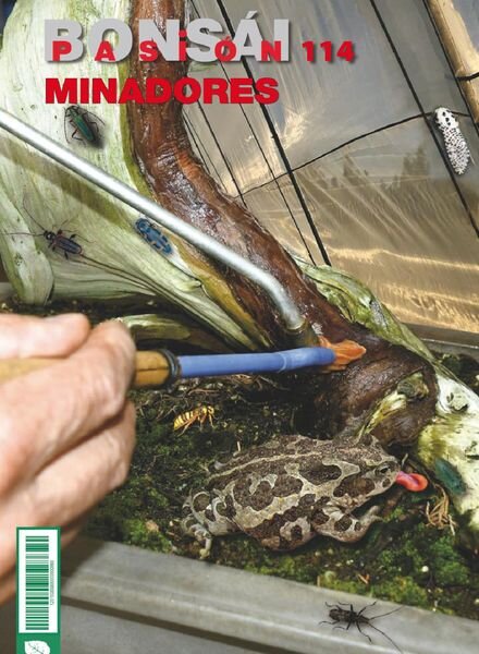 Bonsai Pasion – febrero 2021 Cover