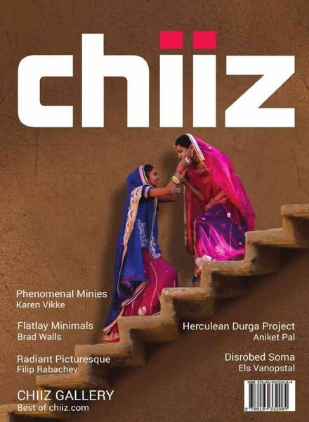 Chiiz – Volume 46 2021 Cover