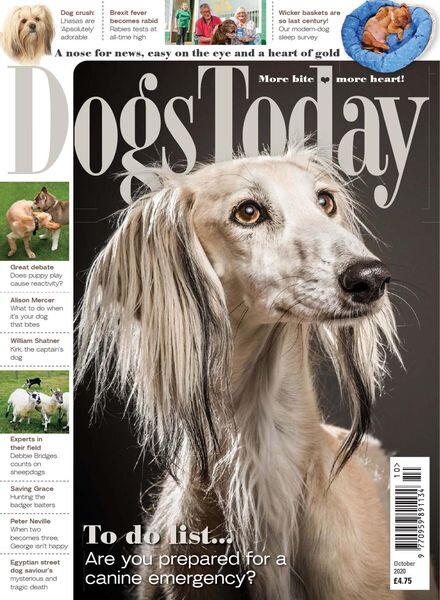 Dogs Today UK – October 2020 Cover