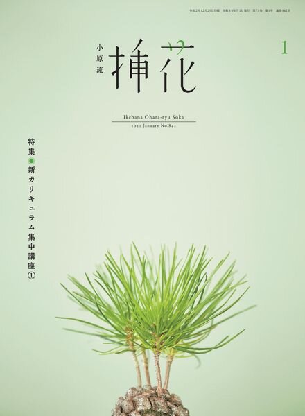 eBooks – 2021-01-01 Cover