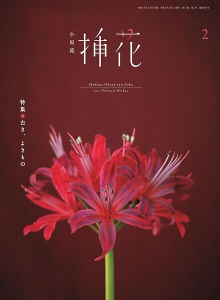eBooks – 2021-02-01 Cover