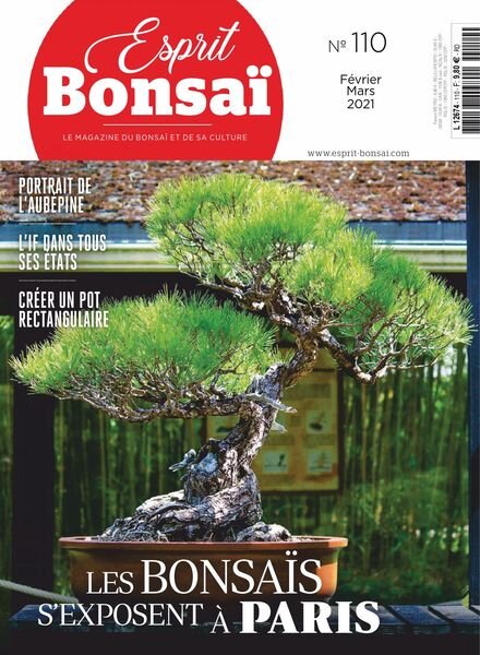 Esprit Bonsai – fevrier 2021 Cover