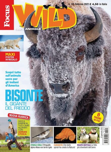 Focus Wild – marzo 2021 Cover