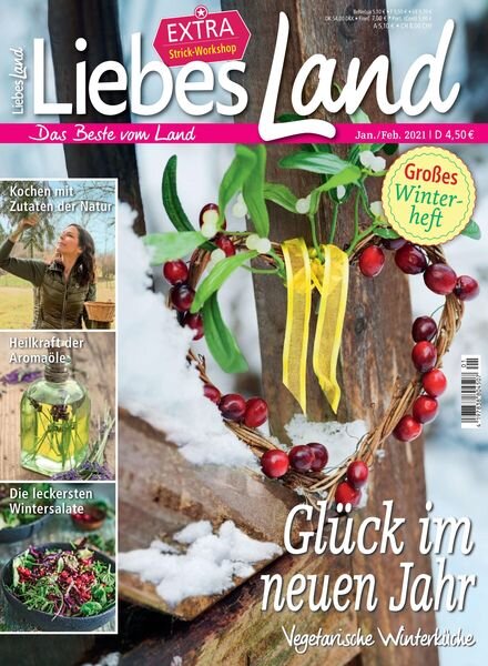 Liebes Land – 16 Dezember 2020 Cover