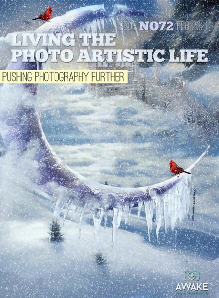Living The Photo Artistic Life – February 2021 Cover