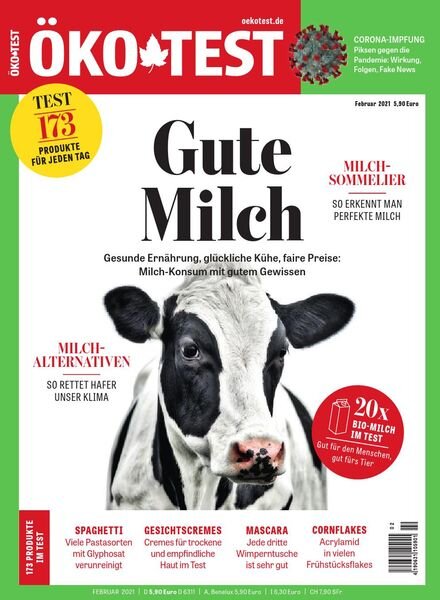 Okotest – Februar 2021 Cover