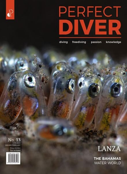 Perfect Diver – January-February 2021 Cover