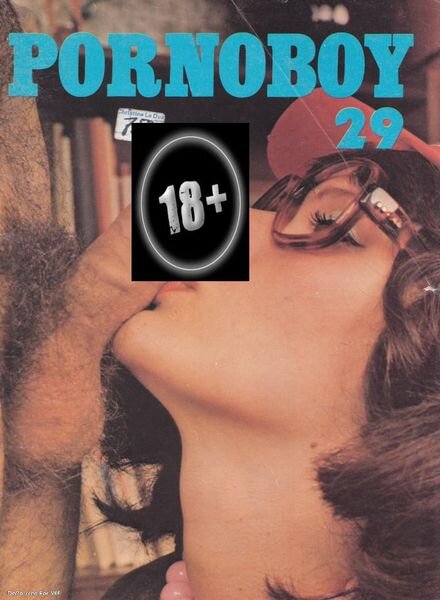 Pornoboy – Nr.29 Cover