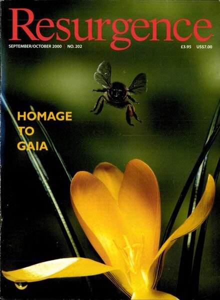 Resurgence & Ecologist – Resurgence, 202 – Sepember – October 2000 Cover