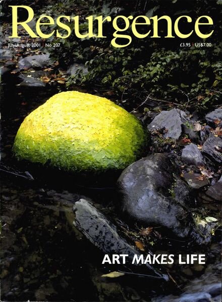 Resurgence & Ecologist – Resurgence, 207 – July-August 2001 Cover