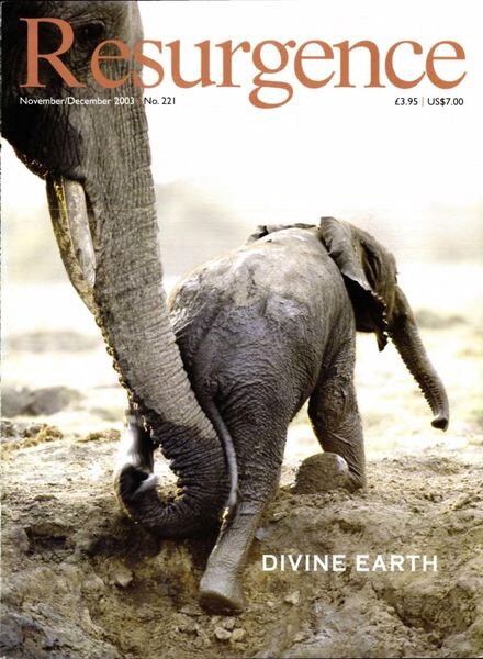 Resurgence & Ecologist – Resurgence, 221 – November – December 2003 Cover