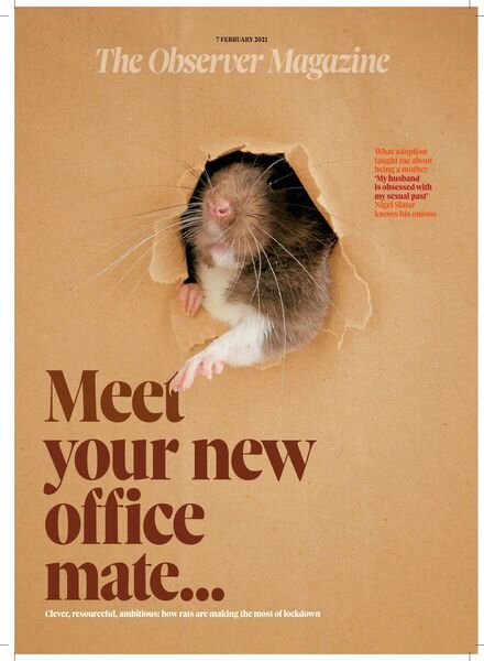 The Observer Magazine – 07 February 2021 Cover