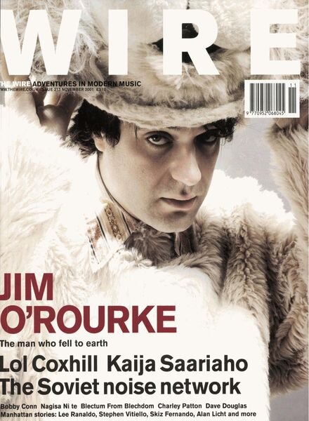 The Wire – November 2001 Issue 213 Cover