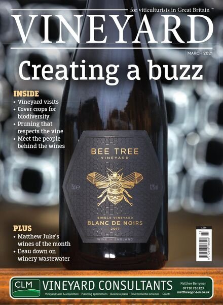 Vineyard – March 2021 Cover