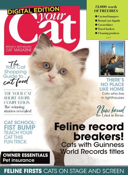 Your Cat – July 2020 Cover