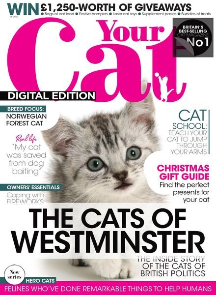 Your Cat – November 2020 Cover