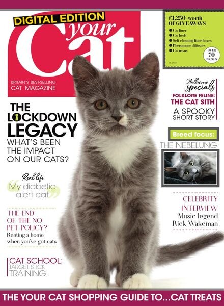 Your Cat – October 2020 Cover