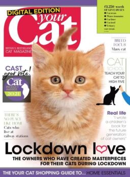 Your Cat – September 2020