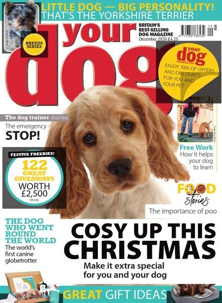 Your Dog – December 2020 Cover