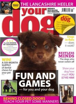 Your Dog – February 2021