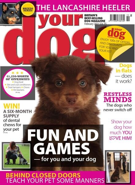 Your Dog – February 2021 Cover