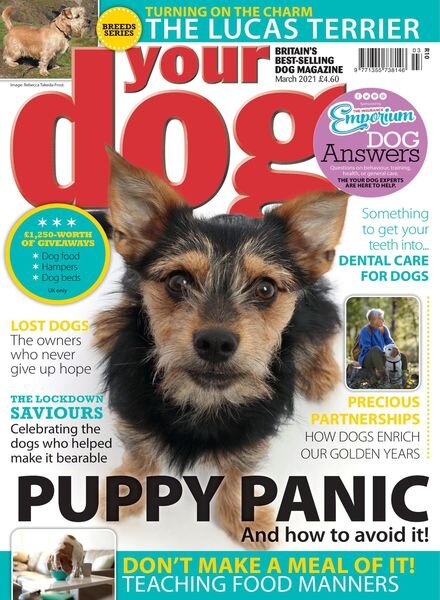 Your Dog – March 2021 Cover