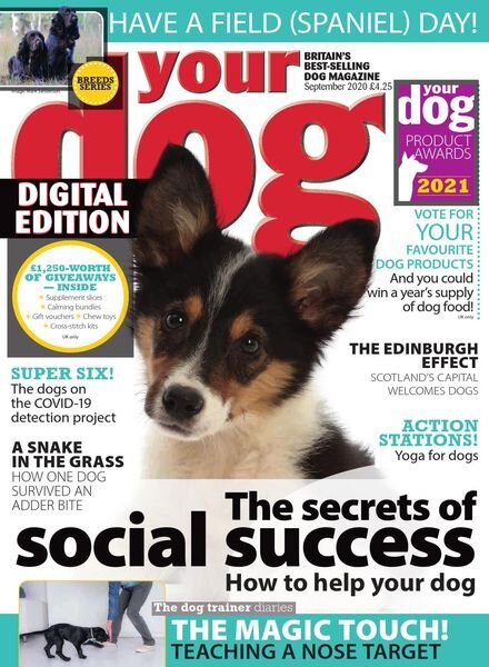 Your Dog – September 2020 Cover