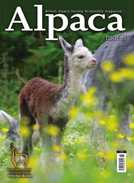 Alpaca – Issue 85 2021 Cover