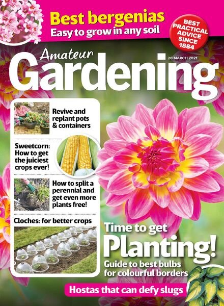 Amateur Gardening – 20 March 2021 Cover