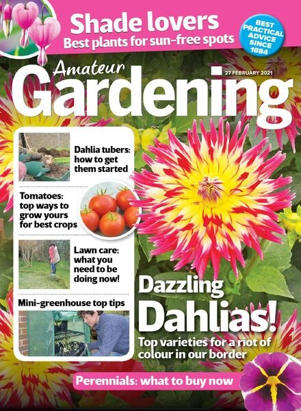 Amateur Gardening – 27 February 2021 Cover