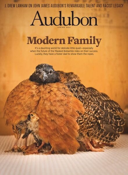 Audubon Magazine – February 2021 Cover