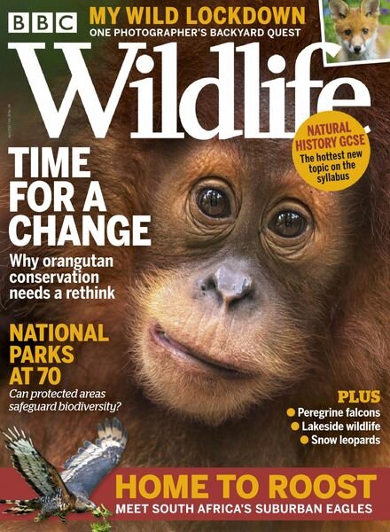 BBC Wildlife – April 2021 Cover