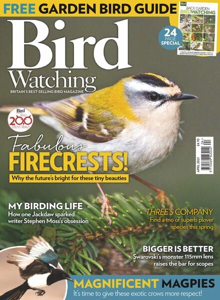 Bird Watching UK – April 2021 Cover