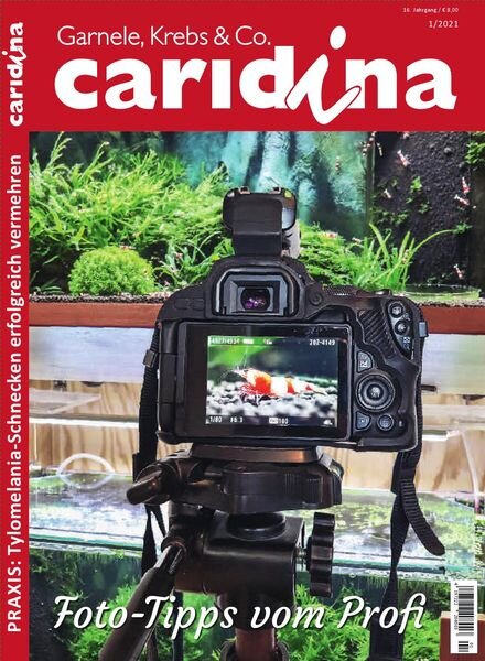 Caridina – Nr.1 2021 Cover