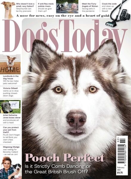 Dogs Today UK – February 2021 Cover