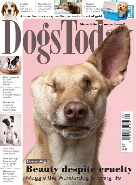 Dogs Today UK – July 2020 Cover